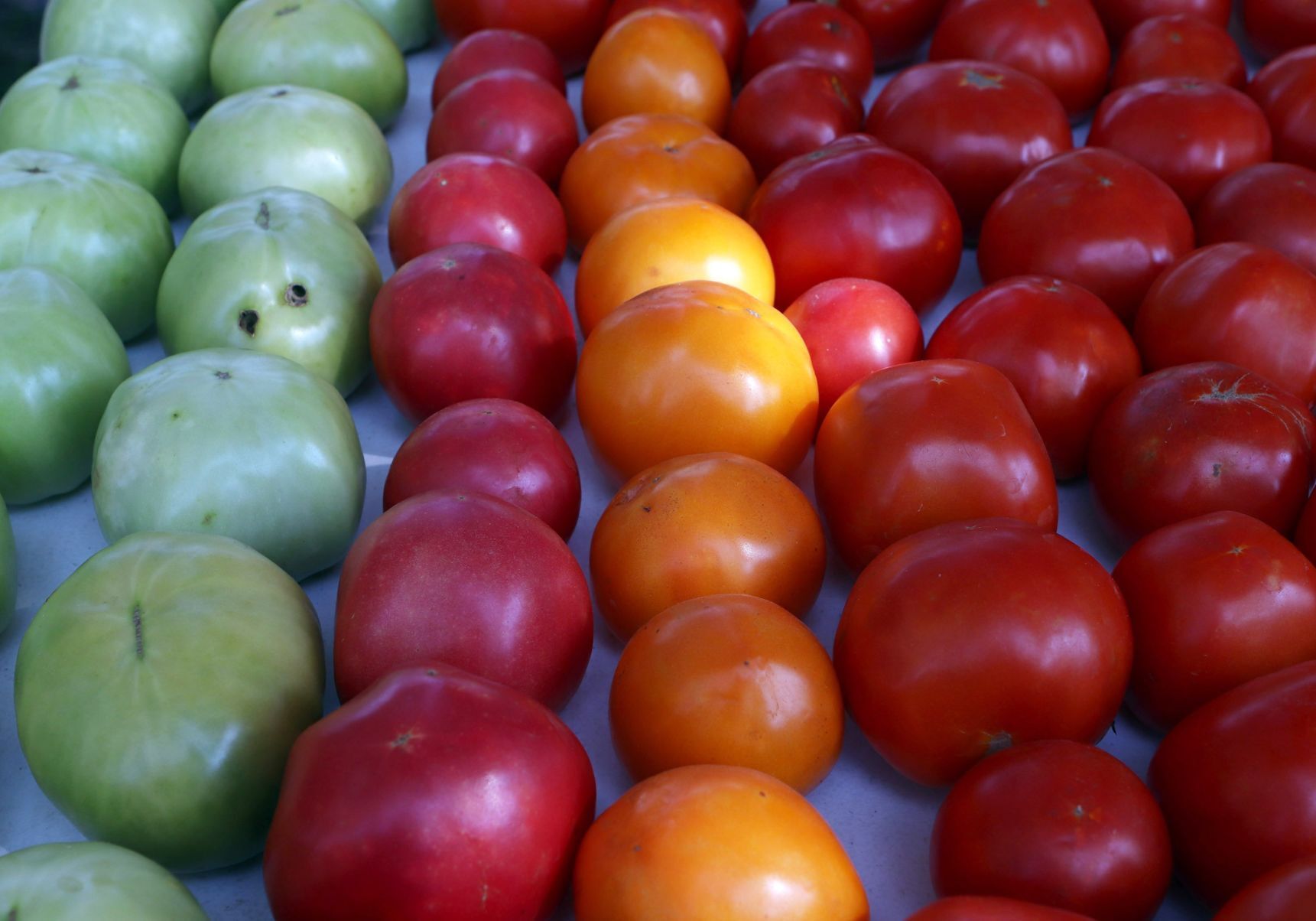 Tower Grove Farmers Market (copy)